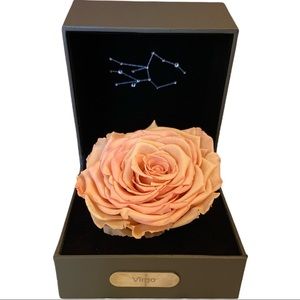 The Only Roses Virgo Sign Single Rose in Box Constellation